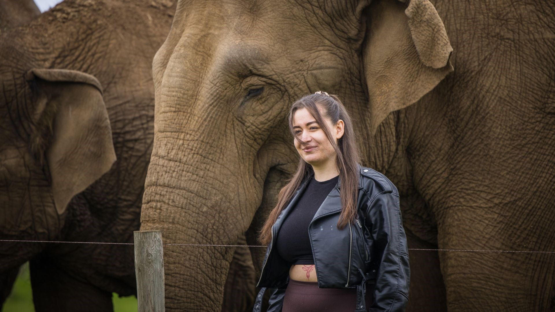 Woman stands in front of asian elephant as the elephant grazes peacefully in the background 