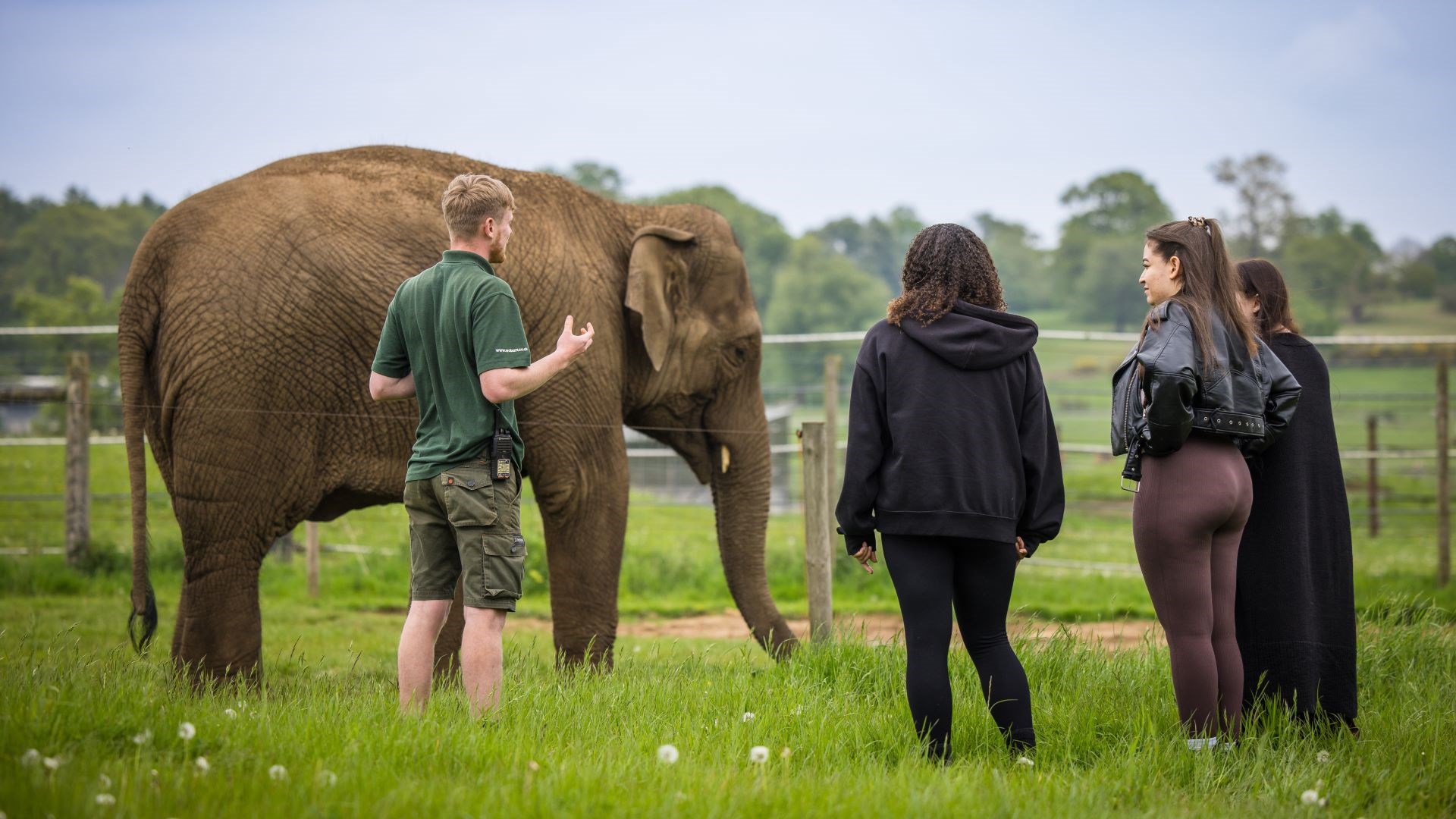 Three women stand with elephant keeper in woburn safari park uniform as asian elephant tarli grazes in the background behind them 