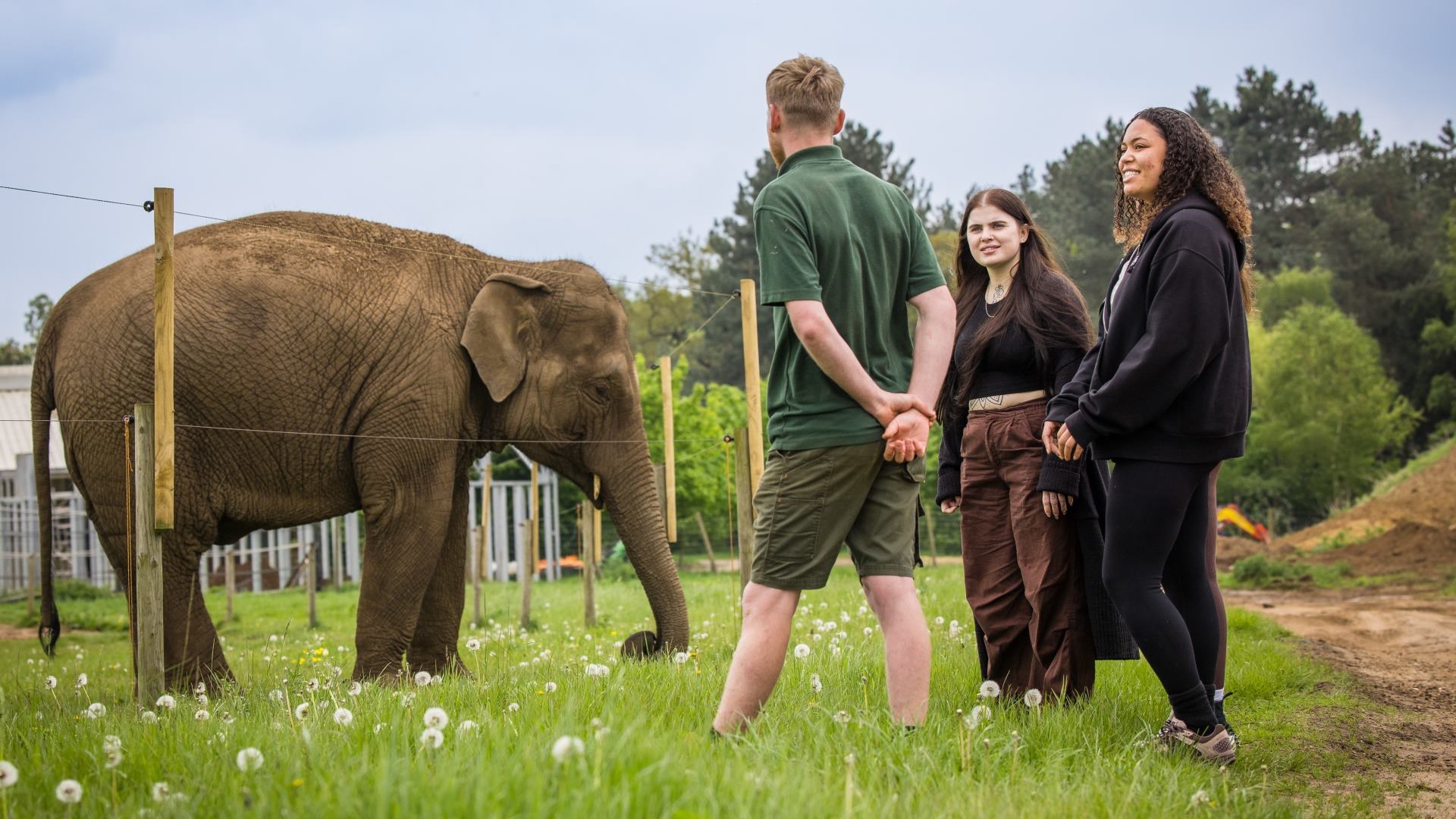 Two women stand with elephant keeper in woburn safari park uniform as asian elephant tarli grazes peacefully in the background 