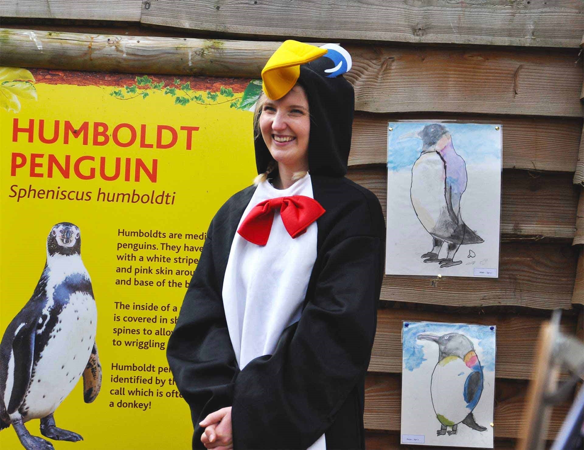 A keeper dressed as a penguin to raise money for charity