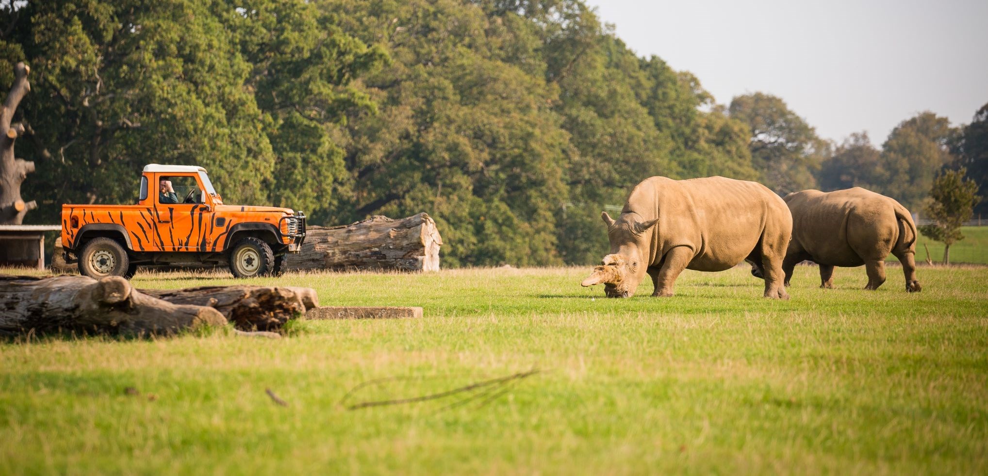 Image of rhino and landrover