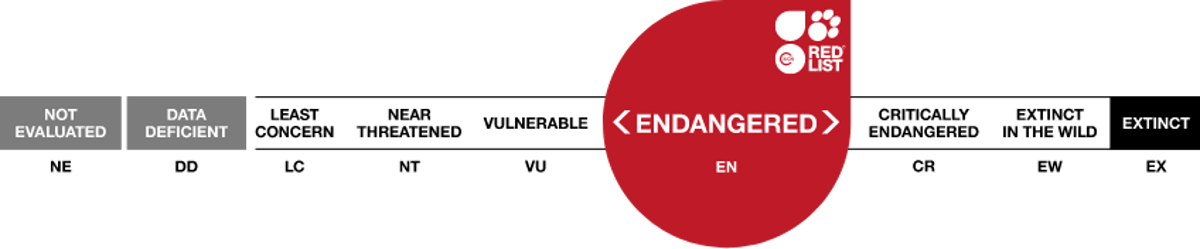 Image of iucn endangered