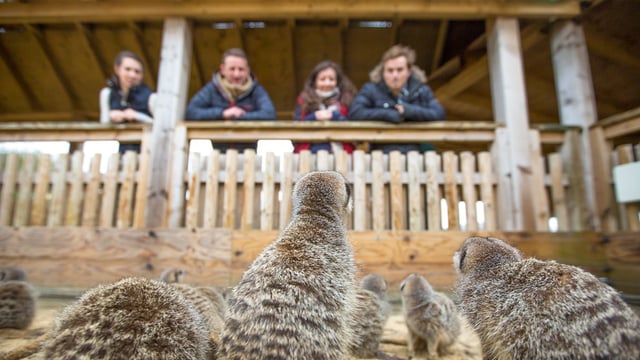 Image of work exp mock photo for banner web landscape 1920x1080 final