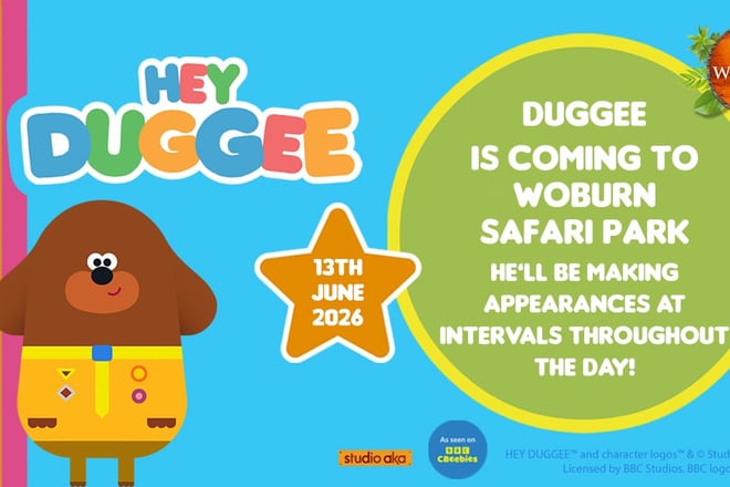 Image of 13 june hey duggee social 3f social landscape 1200x628