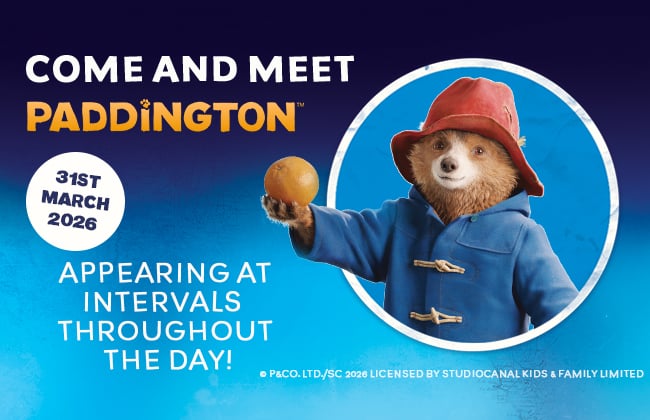 Image of 31 mar paddiington wsp main teaser 650x420