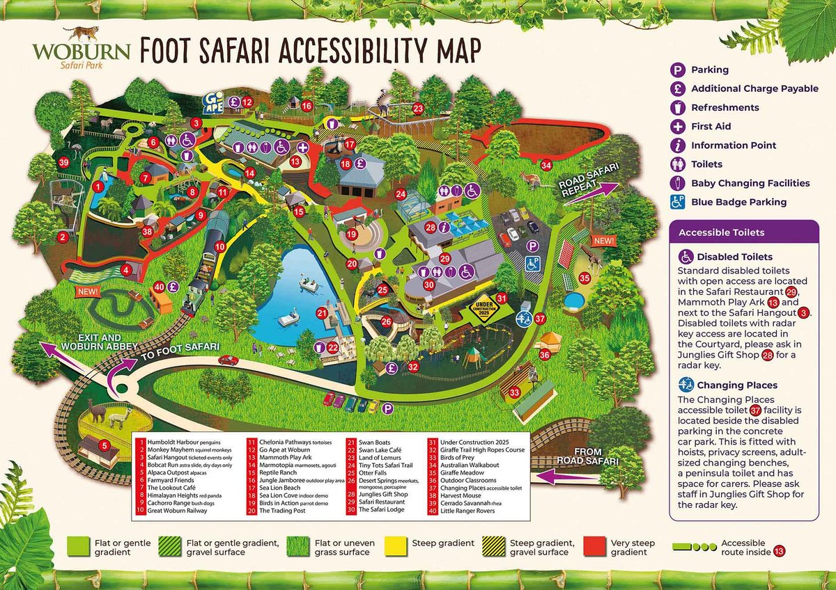 Image of woburn safari accessibility foot safari 2025 web