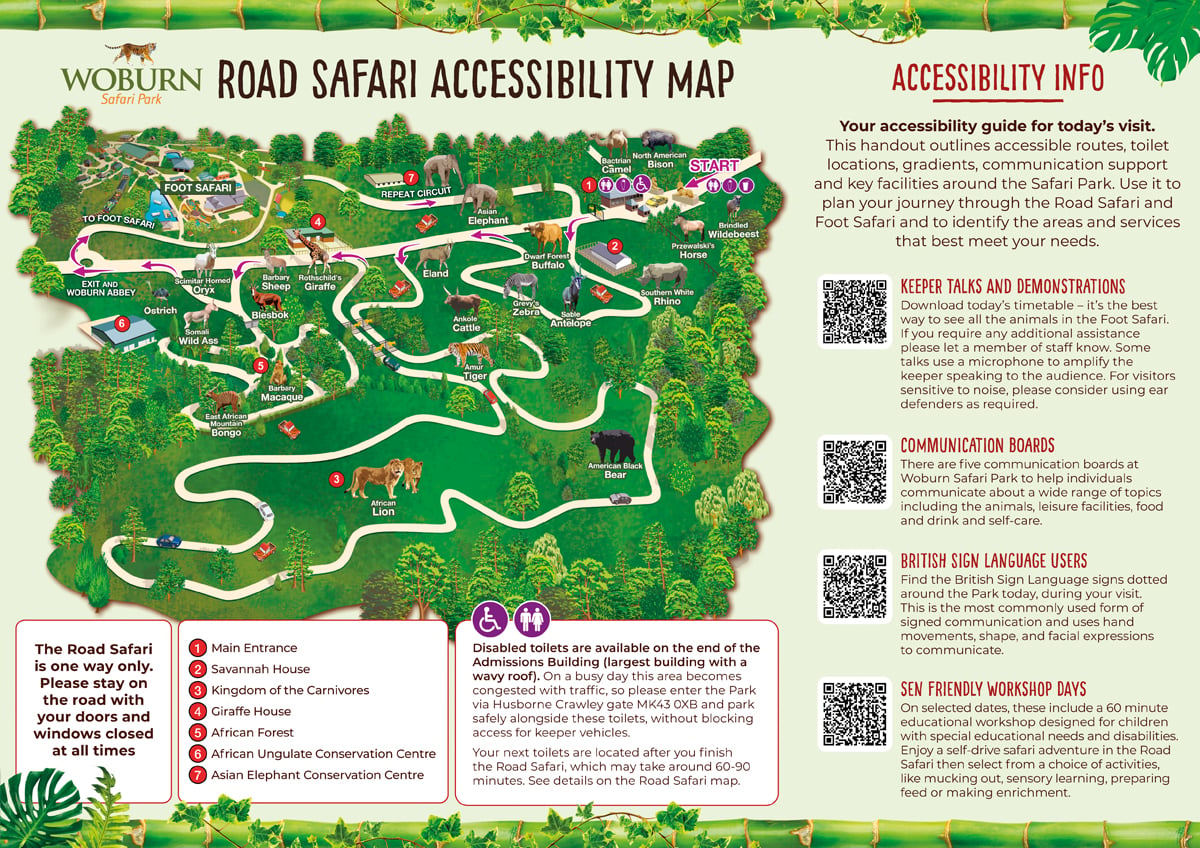 Image of woburn safari accessibility road safari 2026