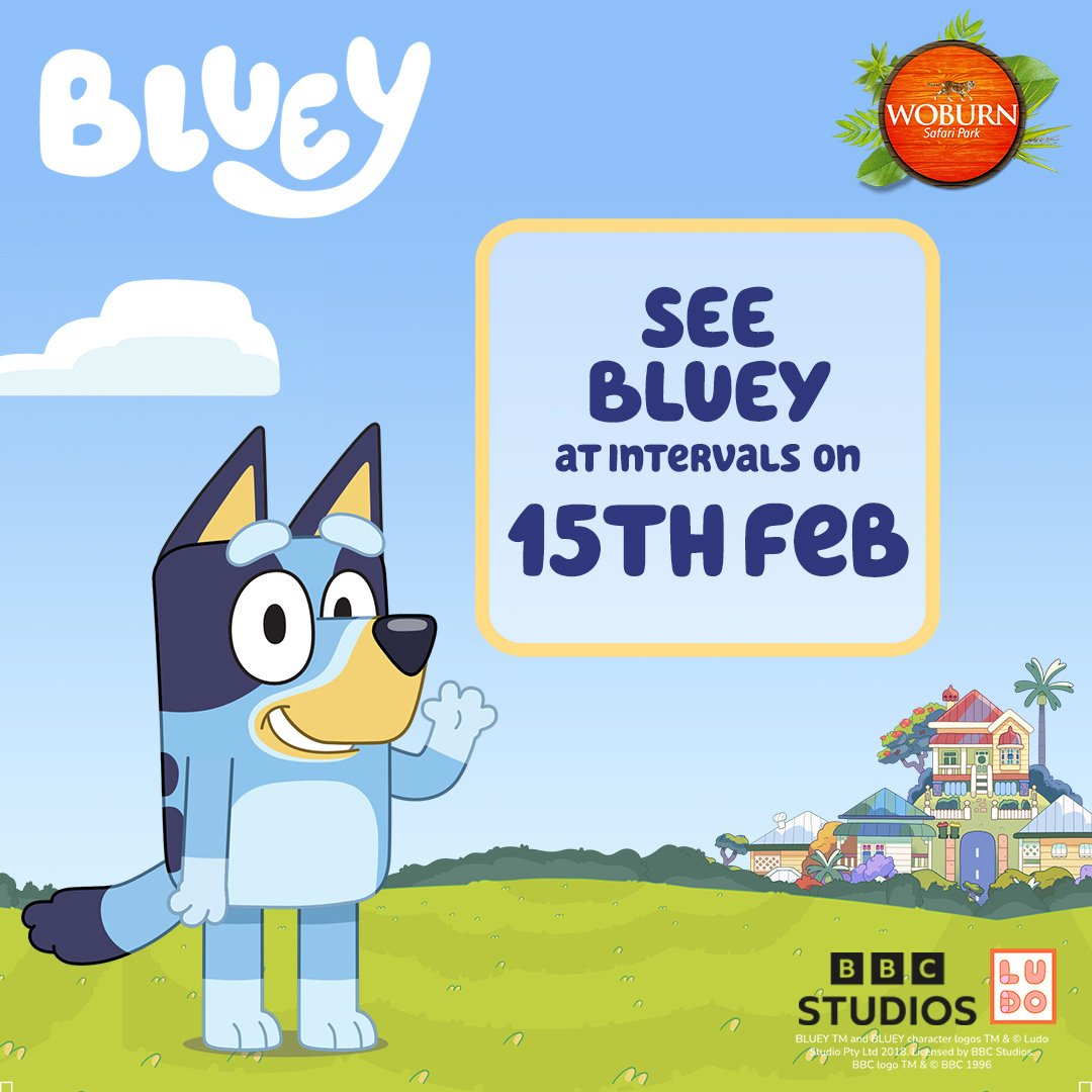 Image of 15 feb bluey wsp social 3g web square 1080x1080