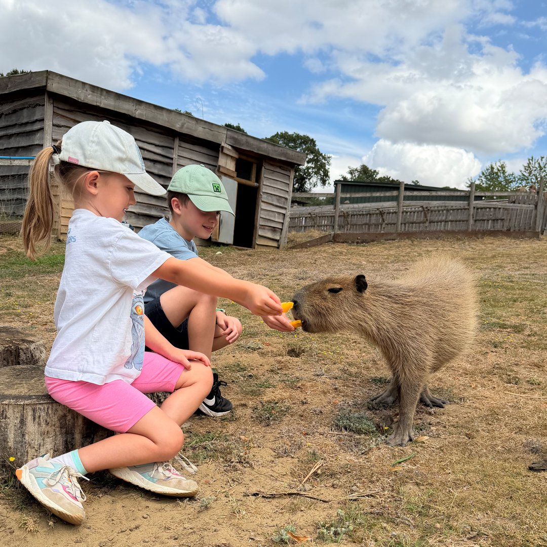 Image of cappy vip feeding encounter 1080x1080