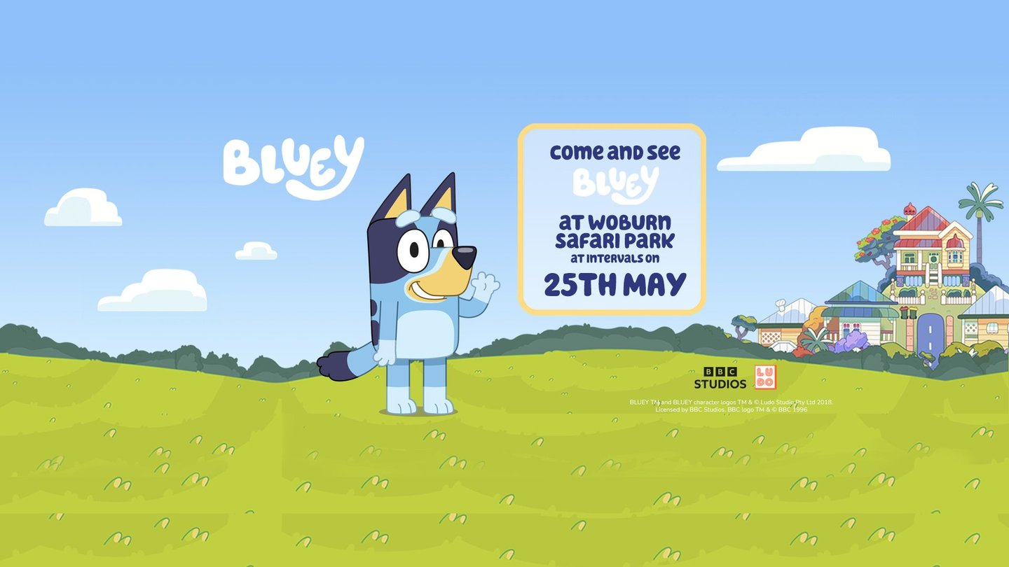 Image of 25 may wsp web 3f event banner 1920x1080 final