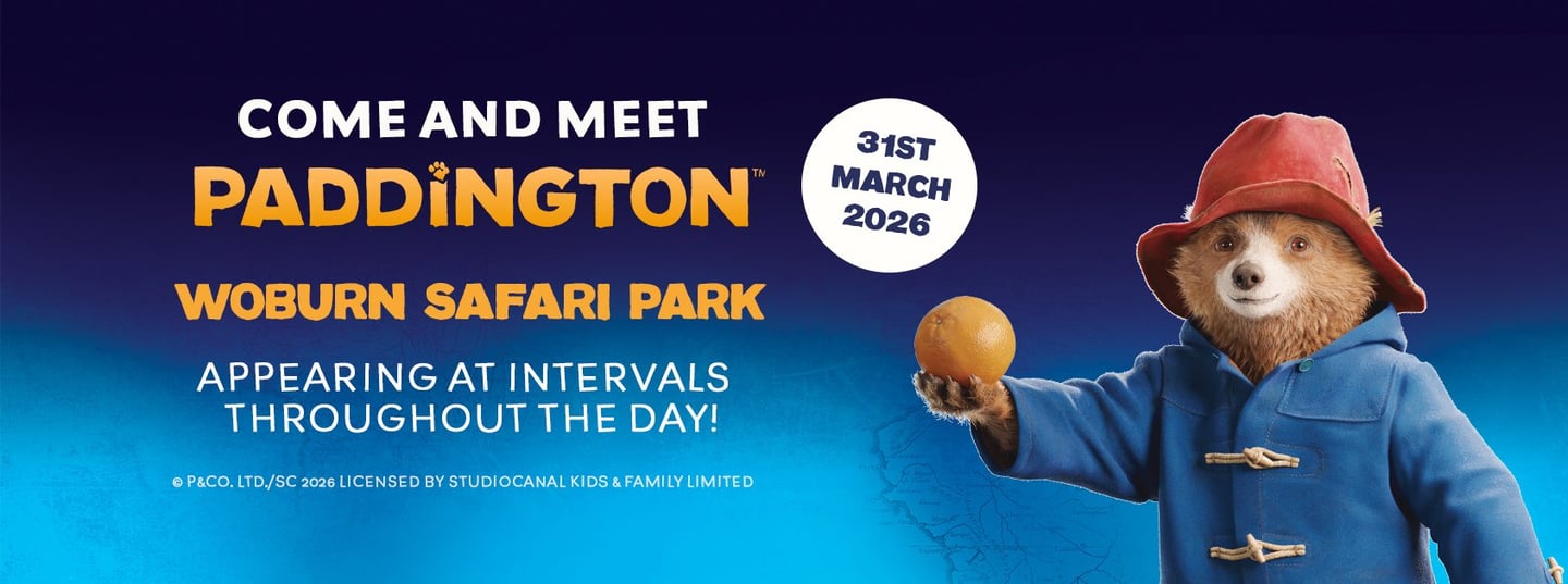 Image of 31 mar paddington wsp event banner 1688x630 v5