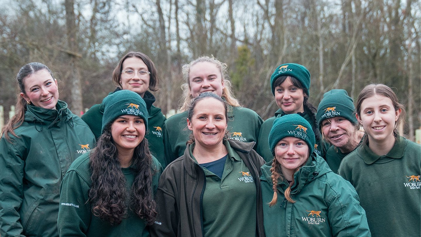 Image of tree planting team web landscape 1920x1080