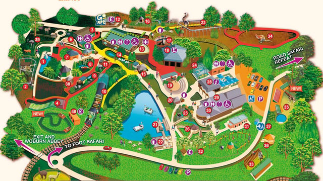 Image of wsp accessibility maps 2026 web banner 1920x1080