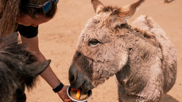 Image of tash eating bday cake web landscape 1920x1080