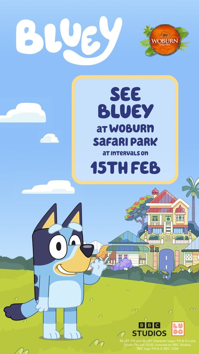 Image of 15 feb bluey wsp social 3a social story 1080x1920
