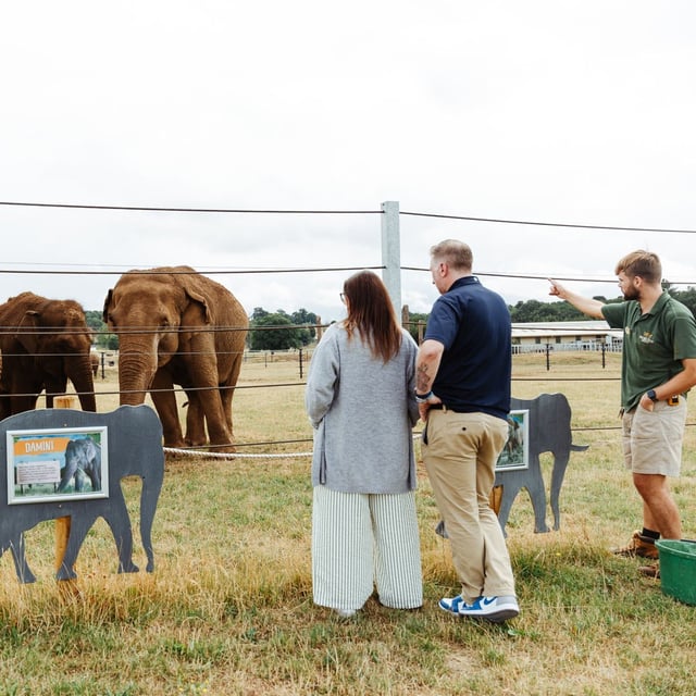 Image of elephant encounter 2025 landscape hero keeper square web 1080x1080