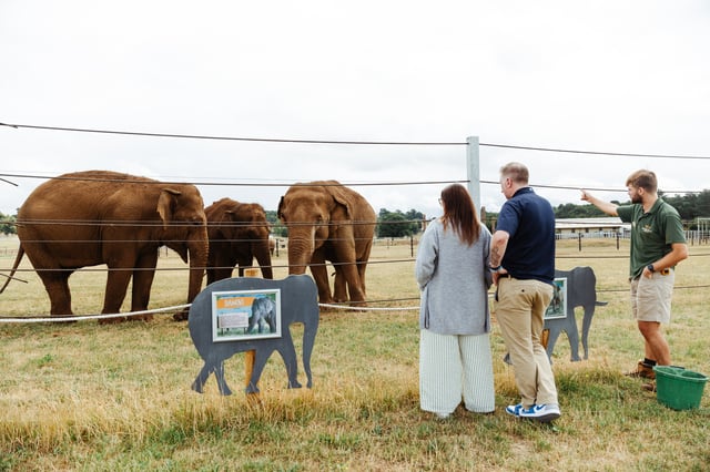 Visitors meeting the Asian Elephants upclose in the 2025 VIP Elephant Encounter 