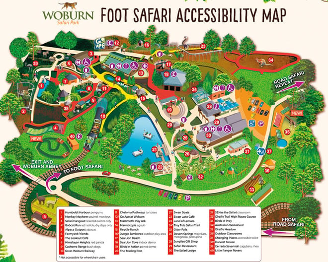 Image of accessibility map26 foot safari teaser image 850x681px