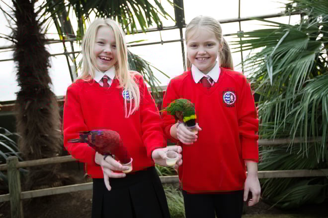 Two school children feed the lorikeets at Woburn Safari Park