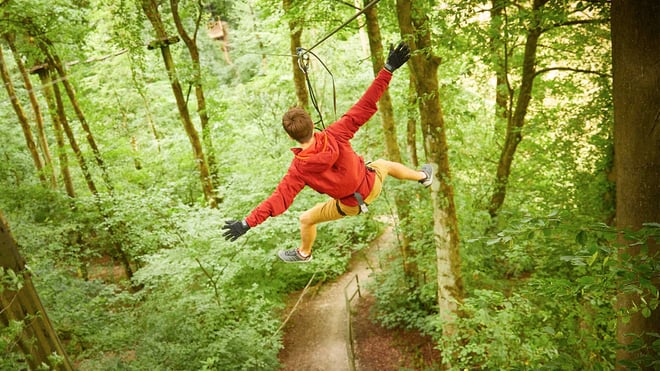 Image of ziplining through the trees web landscape 1920x1080