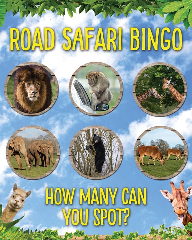 Image of road safari bingo 1350x1080 copy
