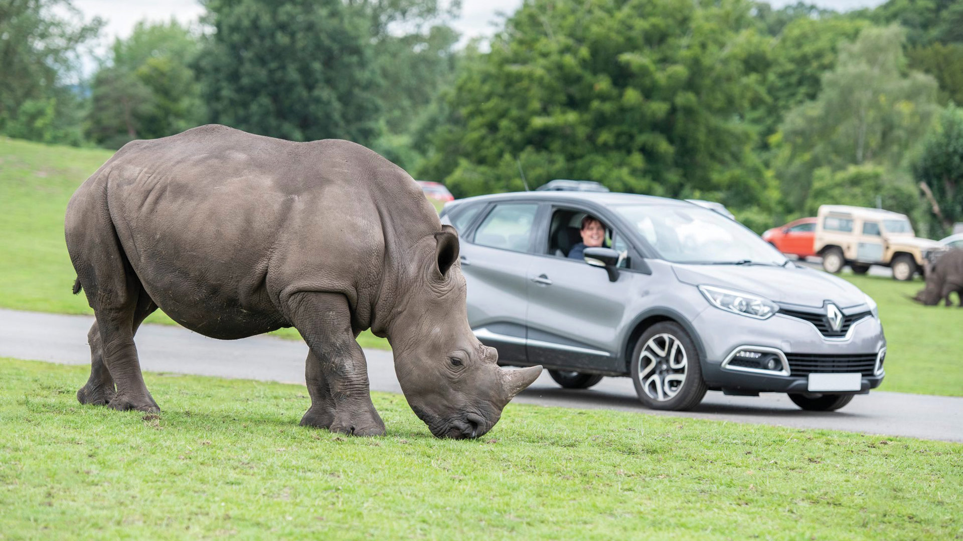 Granville_Adult_Westmids Safari