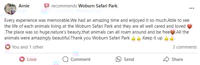 Customer Testimonial for Visit to Woburn Safari Park