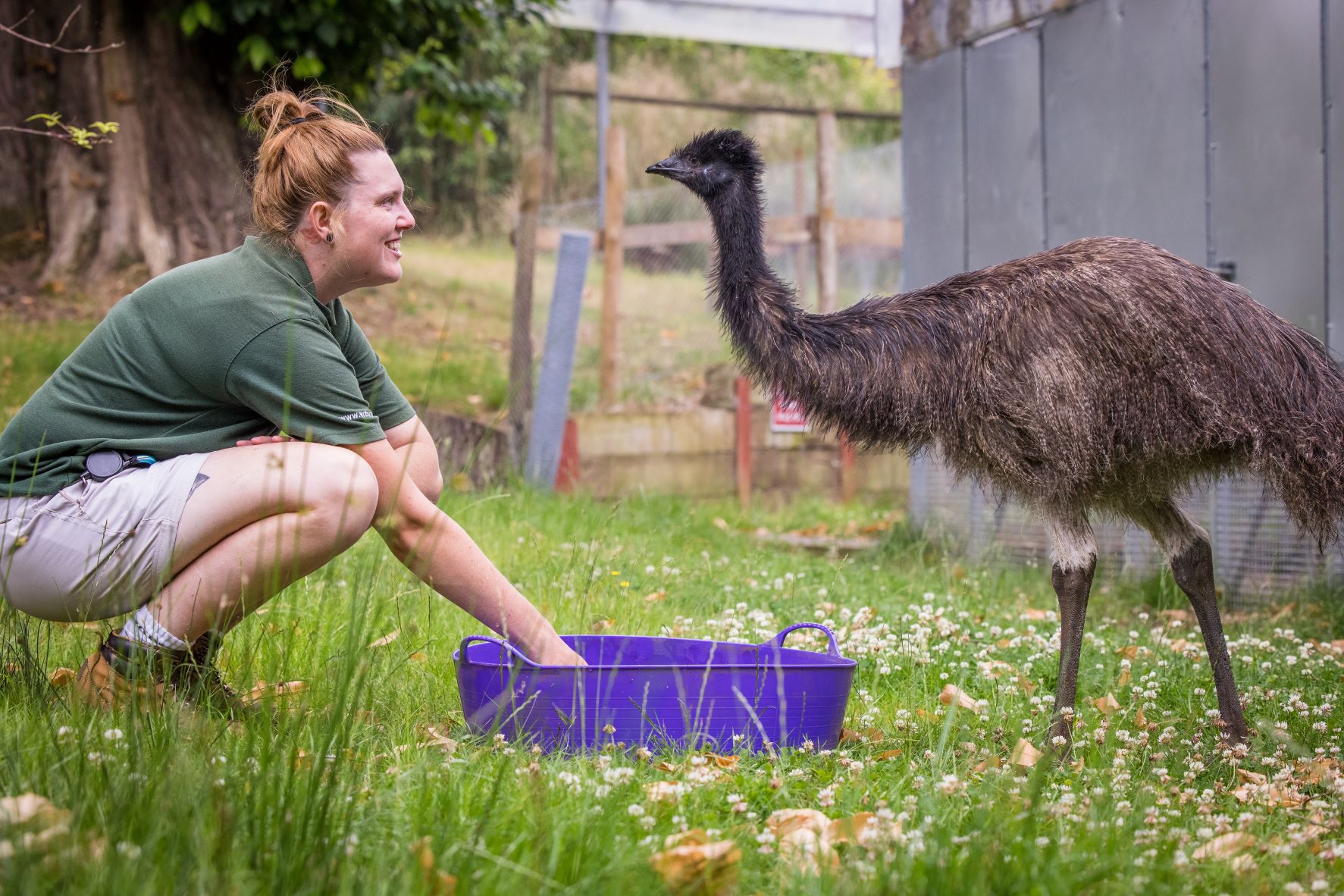 WSP July - Emus _-34.jpg