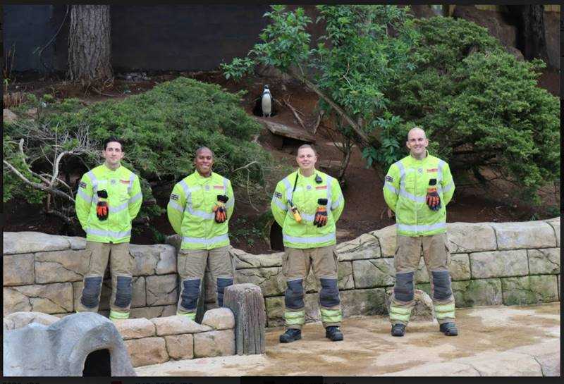 Woburn Fire Station open the penguin enclosure at Woburn Safari Park.jpg