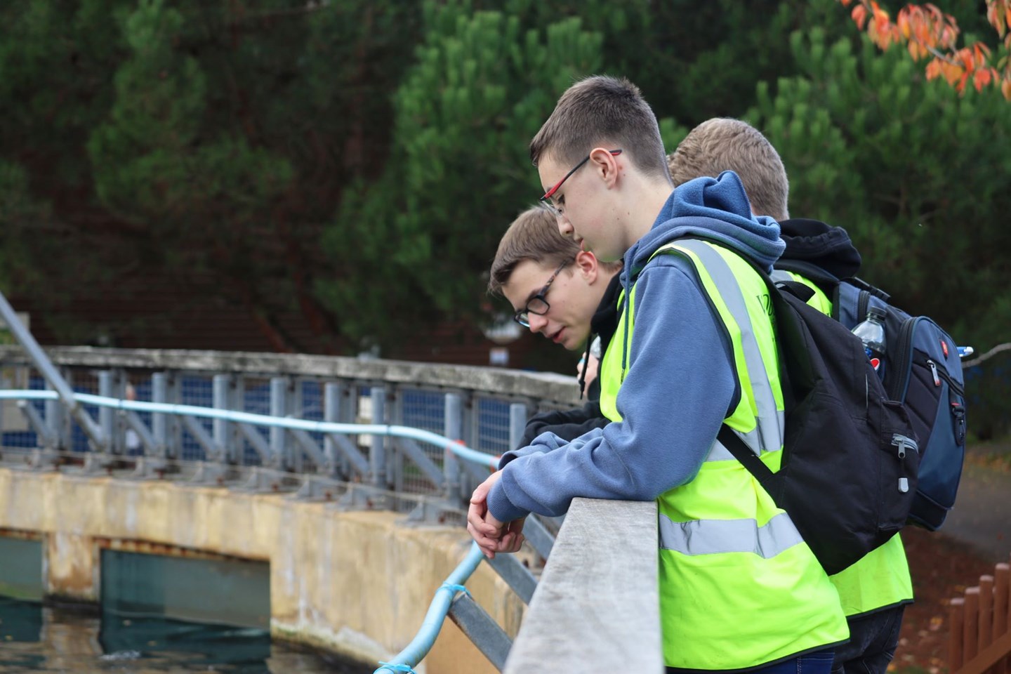 teenage boys looking into sea lion enclosure 