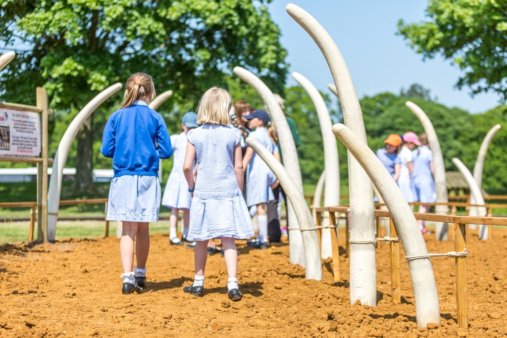 A group of school children walk through the ornamental TUSK elephant charity garden at Woburn Safari Park