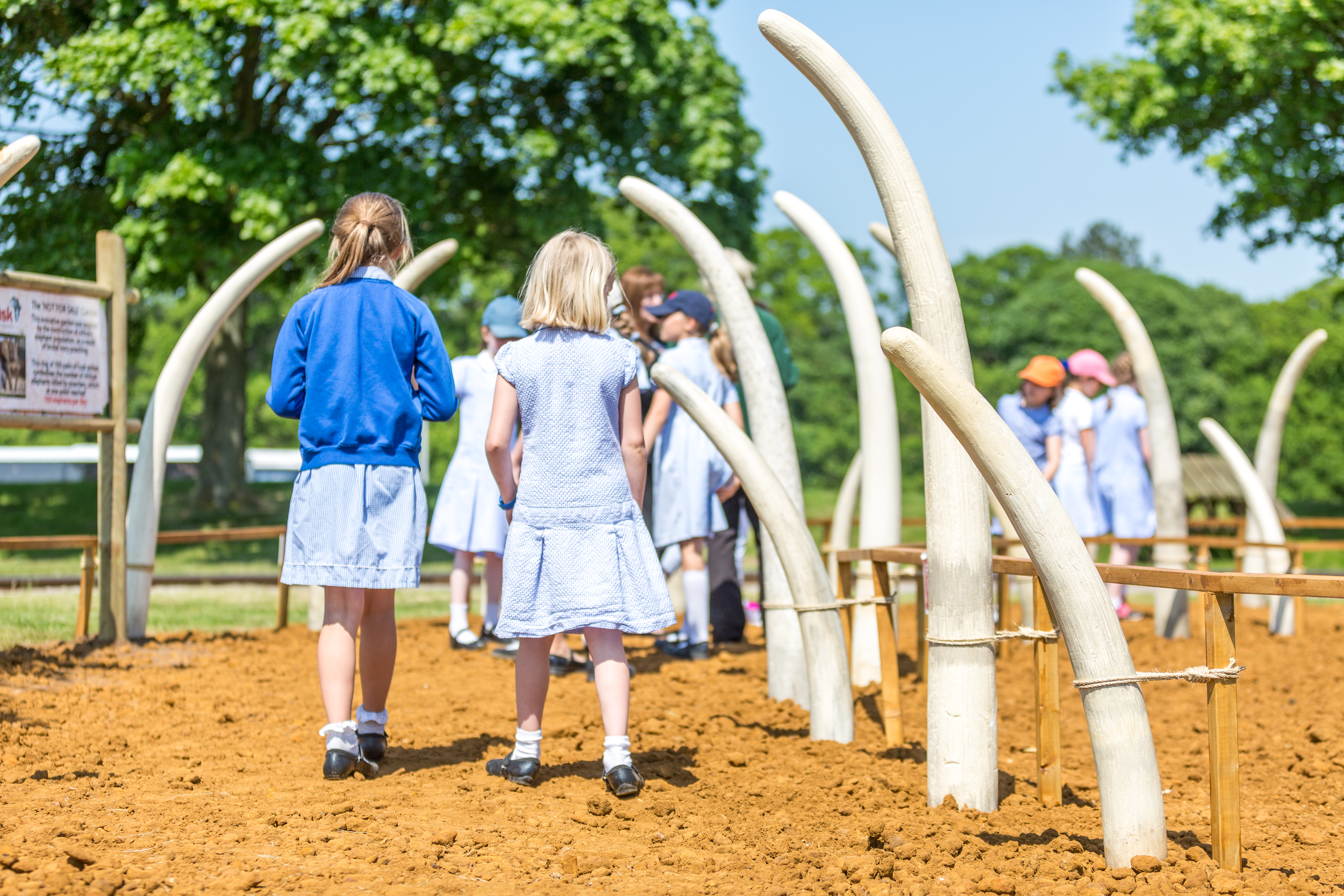 woburn safari school trips