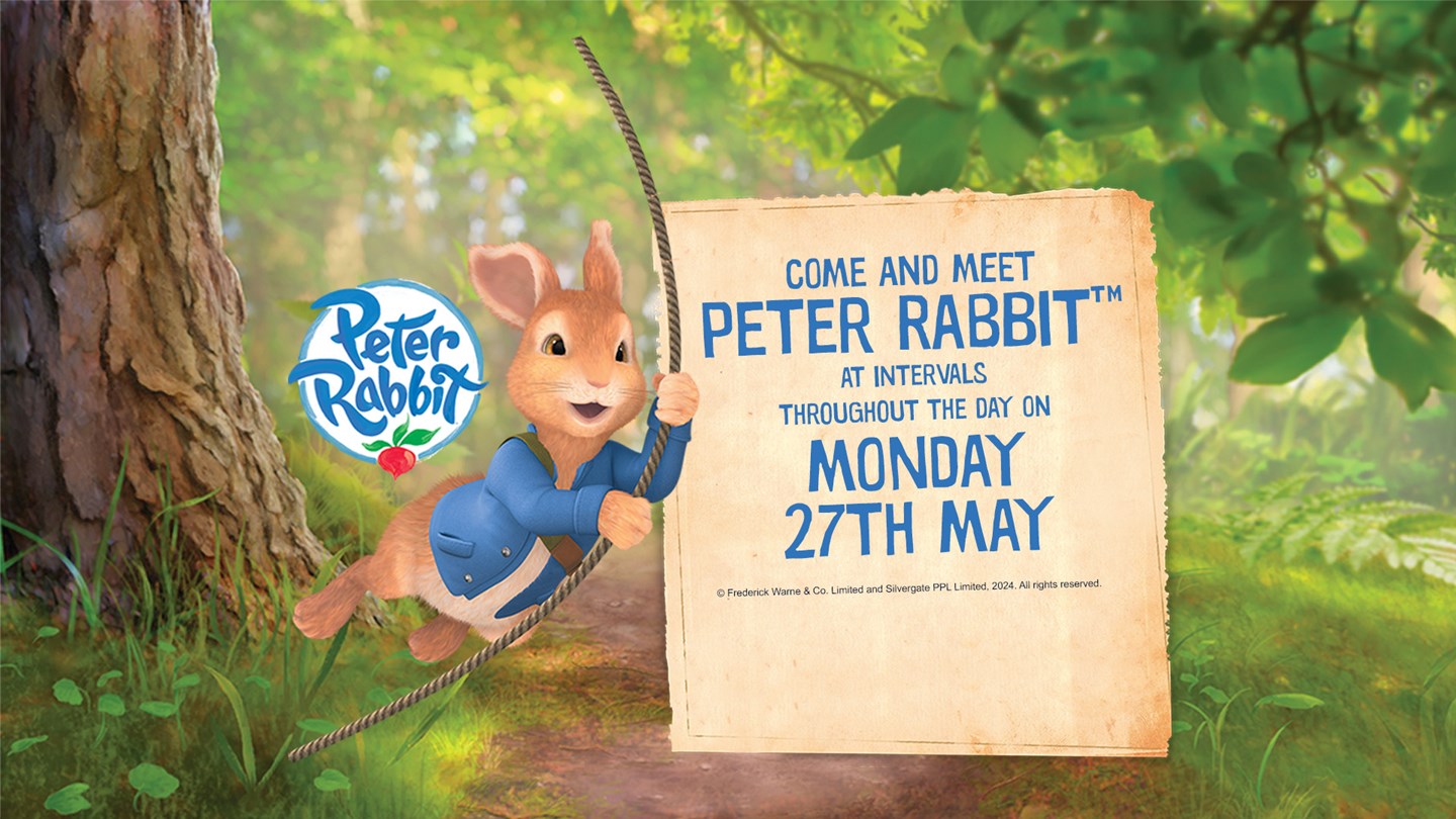 Image of 27 may peter rabbit web 1a home page banner1080 x 1920 v