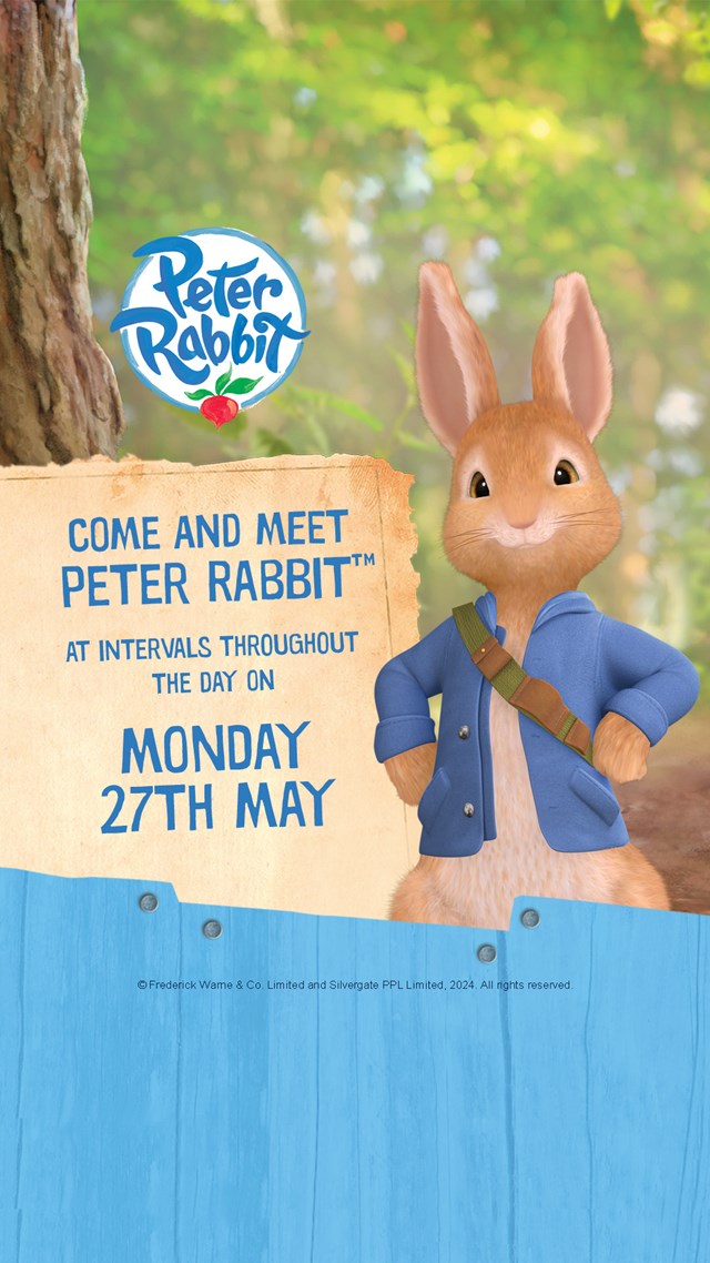 Image of 27 may peter rabbit web home page banner mobile 1080 x 1920 v2