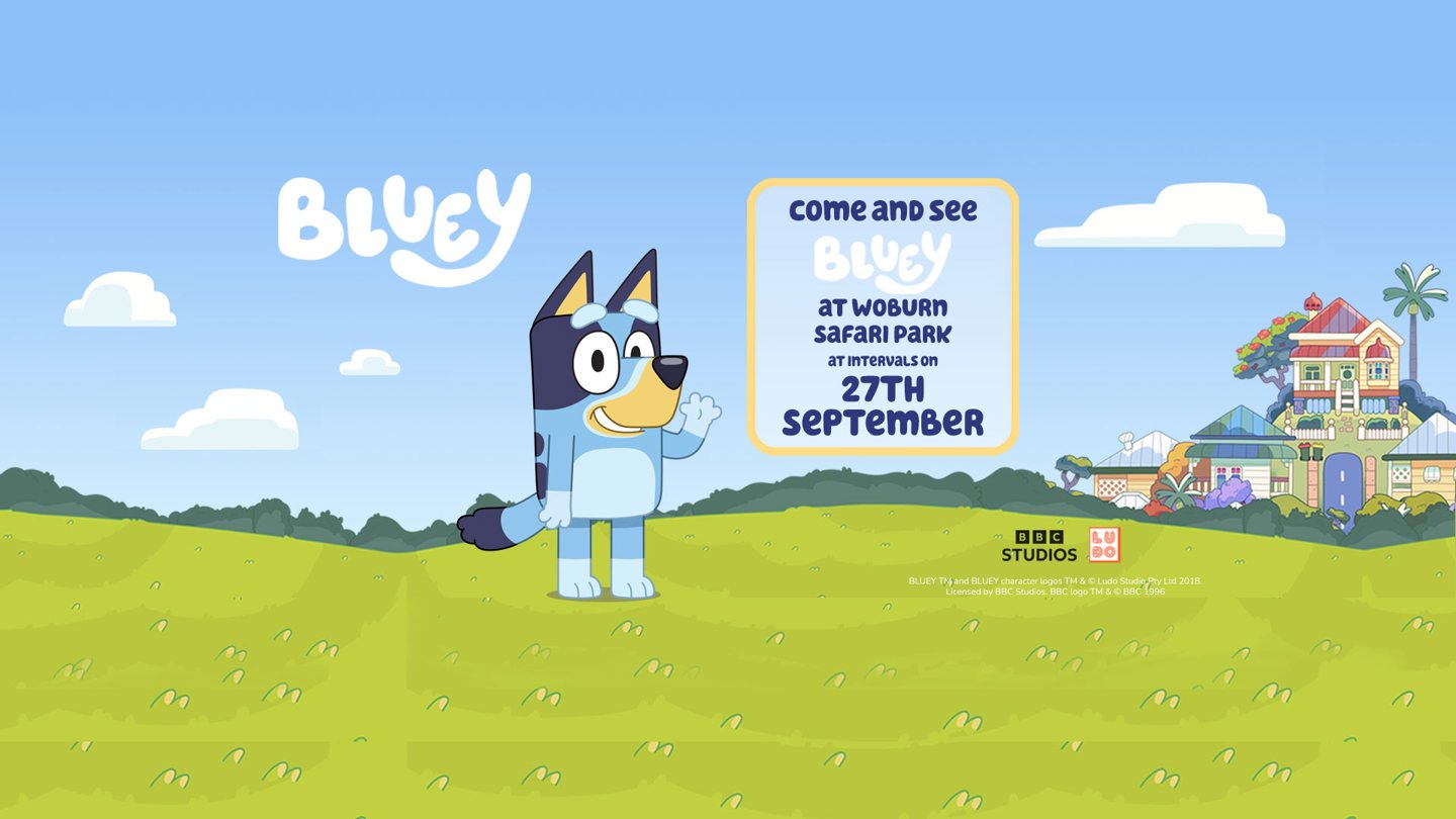 Image of 27 sep wsp web 3f event banner 1920x1080