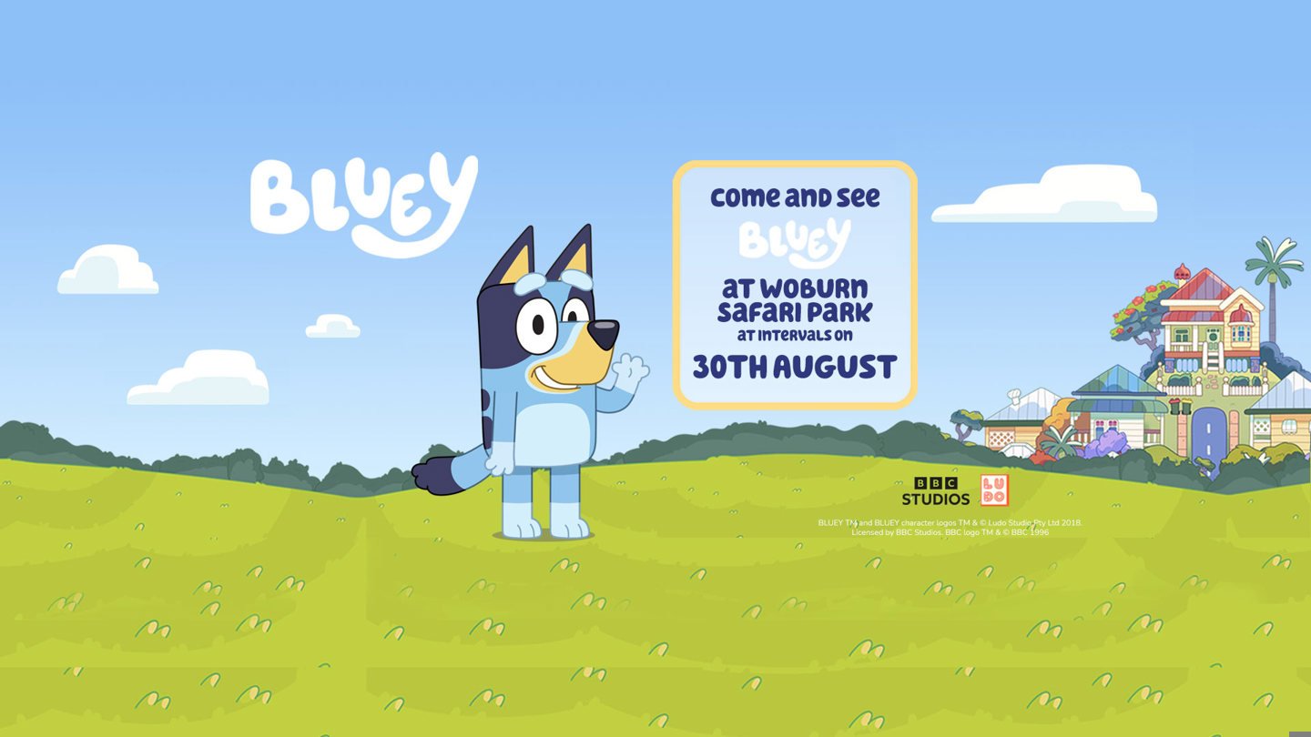 Image of 30 aug wsp web 3f event banner 1920x1080