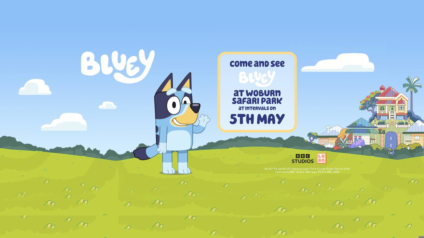 Image of 5 may wsp web 3f event banner 1920x1080