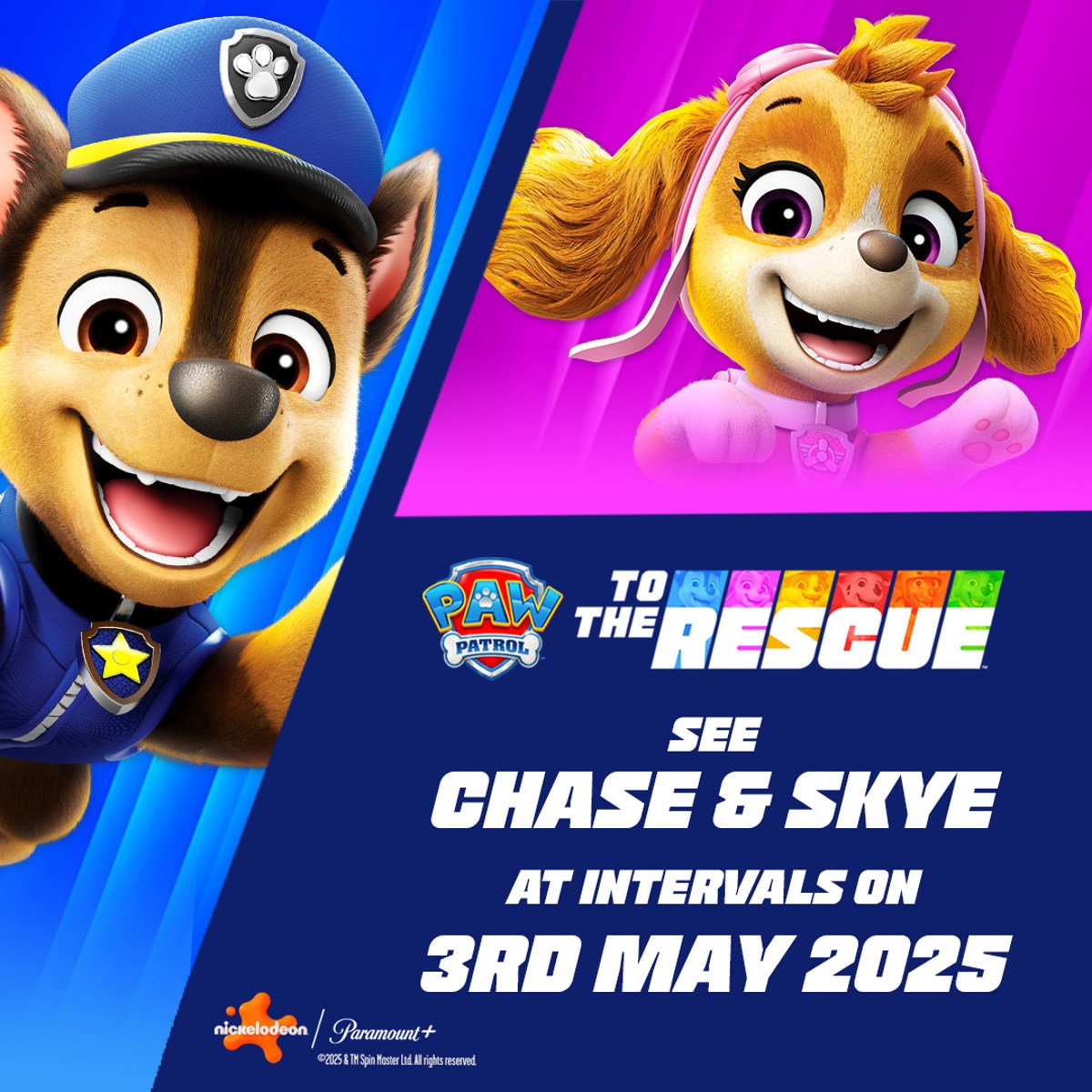 Image of 3 may chaseandskye wspweb+ whatson carousel 1080x1080