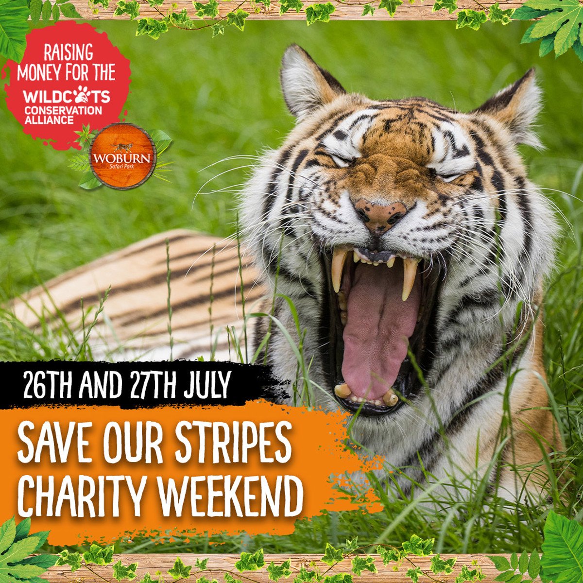 Image of tiger weekend 1080x1080 web res