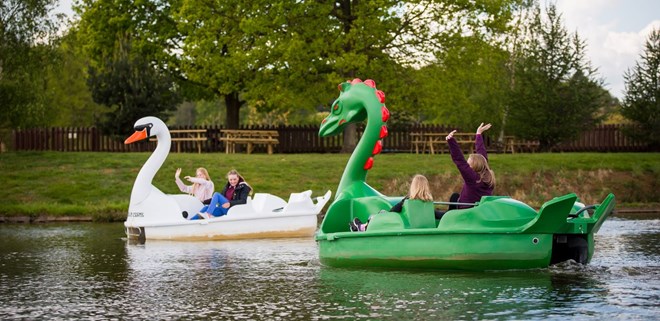 Family enjoy rise on white and green swan boats
