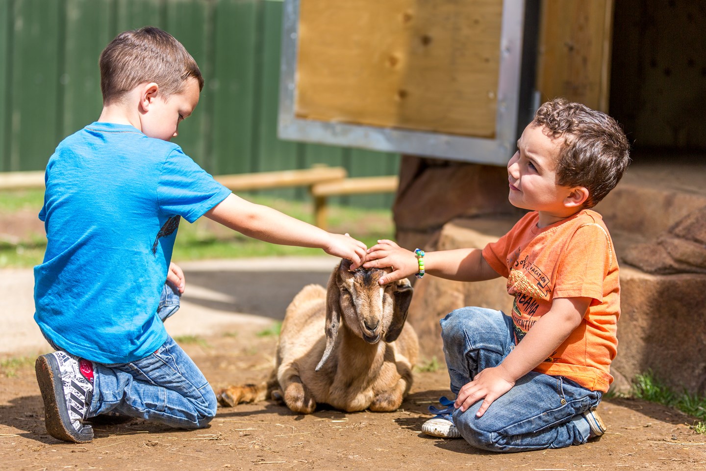 Two children pet goat in Farmyard Friends Enclosure