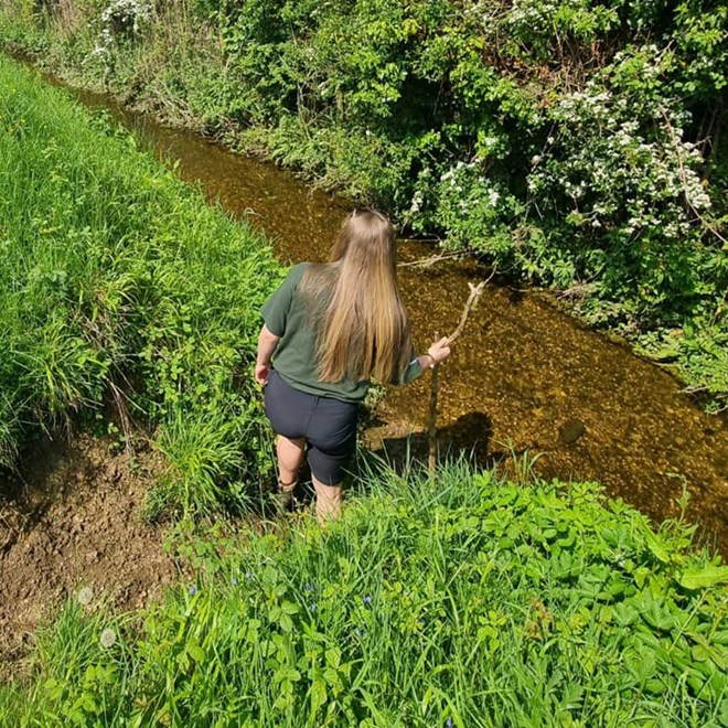 Image of staff member surveying water voles