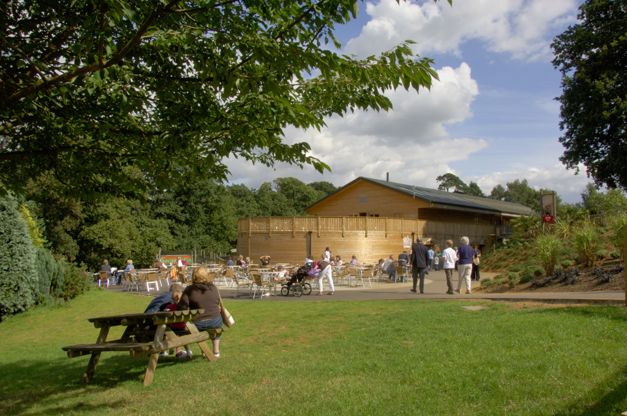 eating at woburn safari park