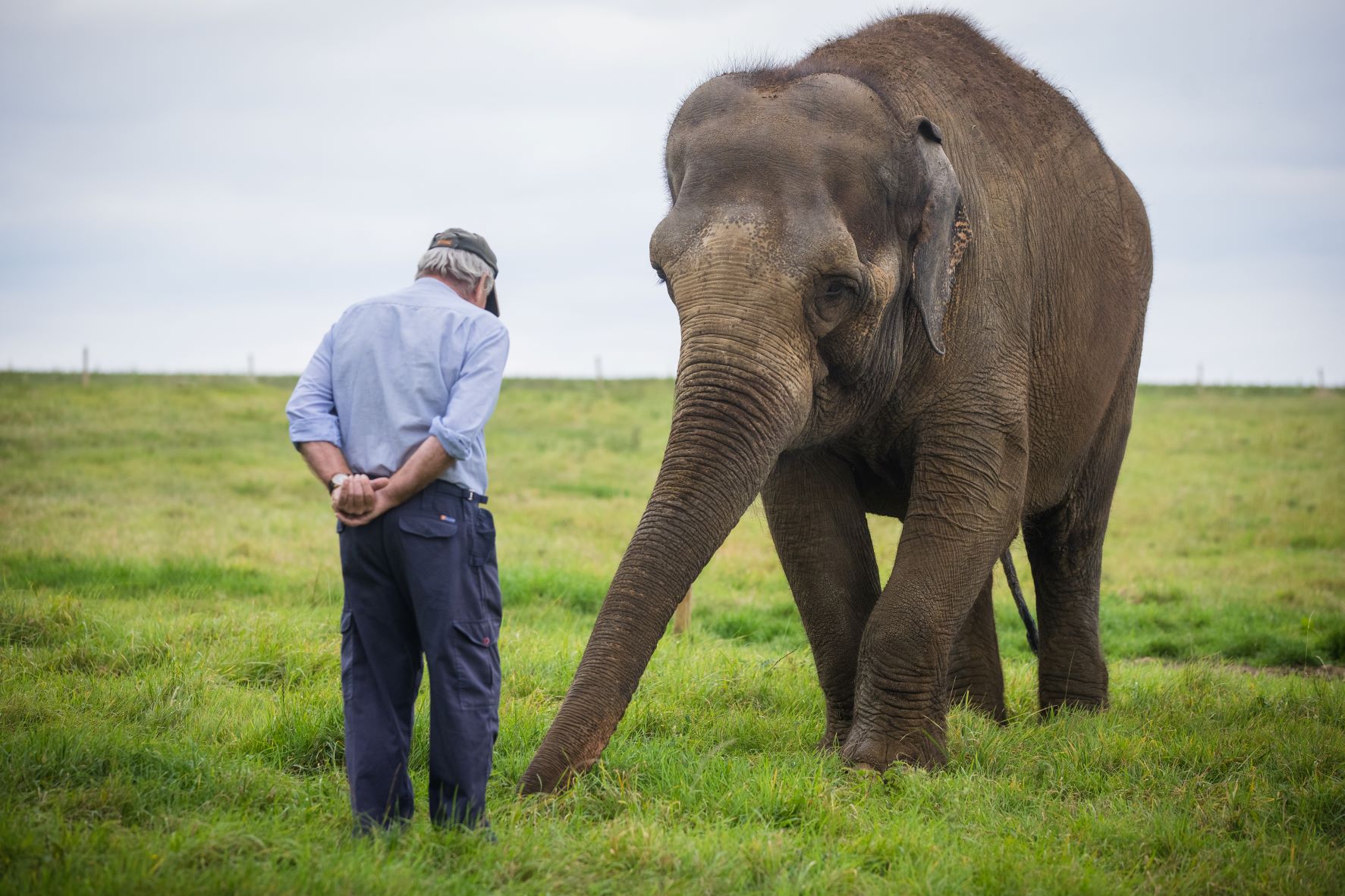 Robert with Yu-Zin the Asian elephant.jpg