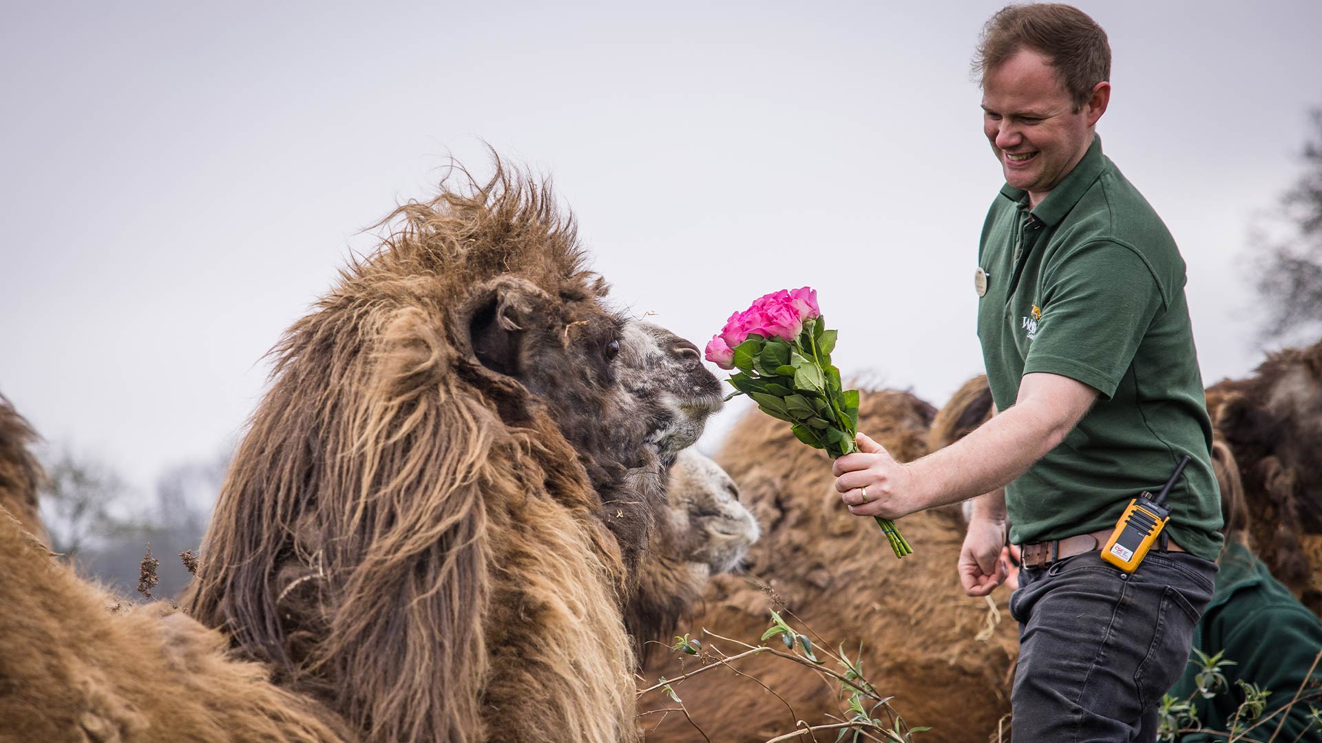 Camel Rita with Head of Section, Tom on Mother's Day