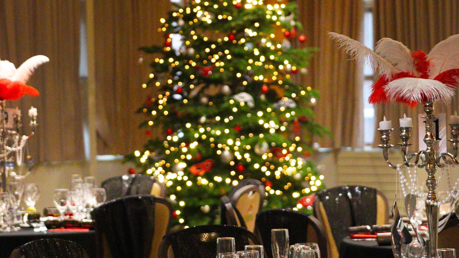 Christmas Parties | Woburn Safari Park