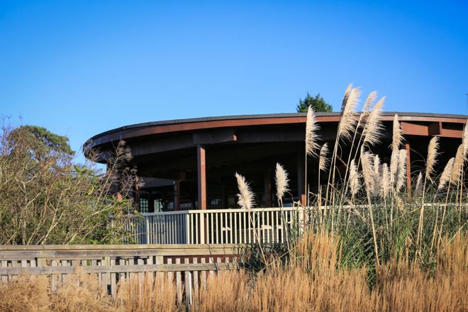Safari lodge decking overlooks safari park with reeds and trees in view 