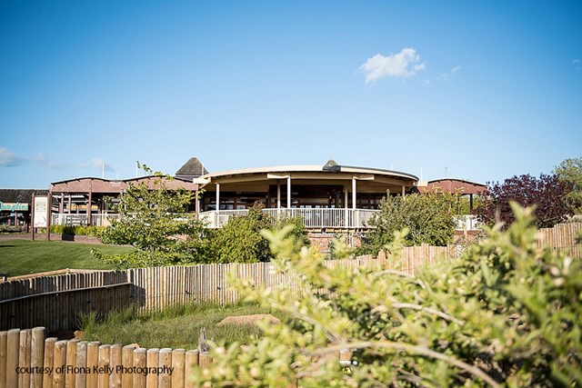 Safari lodge decking overlooks safari park on sunny day 