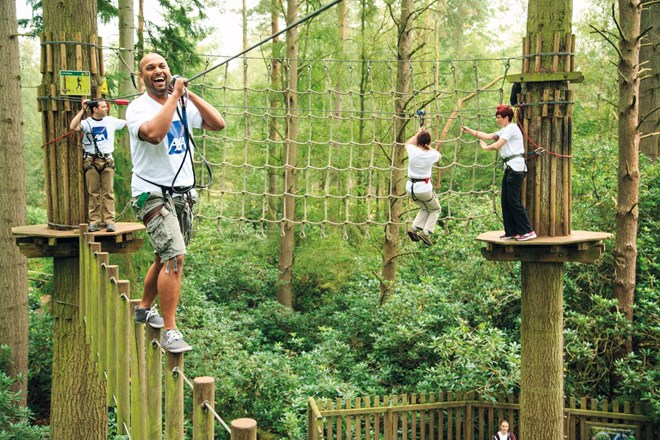 Family navigates obstacles on high ropes course 