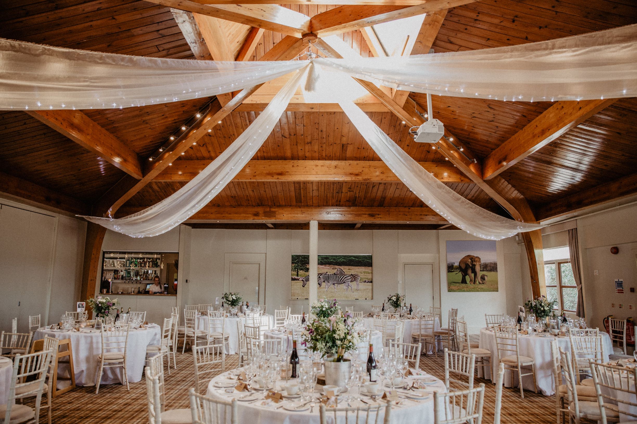 Inside Safari Lodge - Nicki Shea.jpg